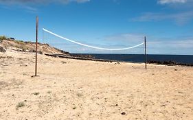 Delmar Natur - Morena